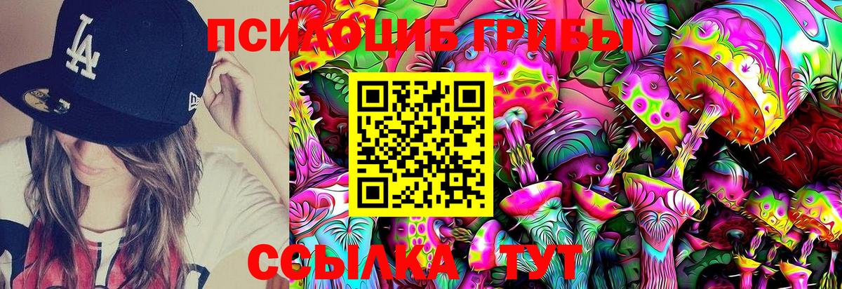 хочу наркоту  Галлюциногенные грибы Psilocybine cubensis  Вход с VPN  Хасавюрт 