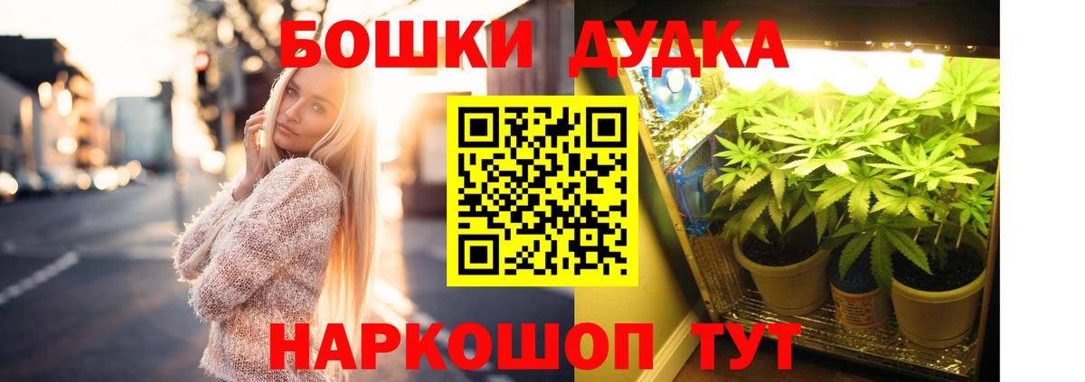 Хасавюрт  Конопля ГИДРОПОН  Вход с VPN  Бошки марихуана сатива  Марихуана Amnesia 